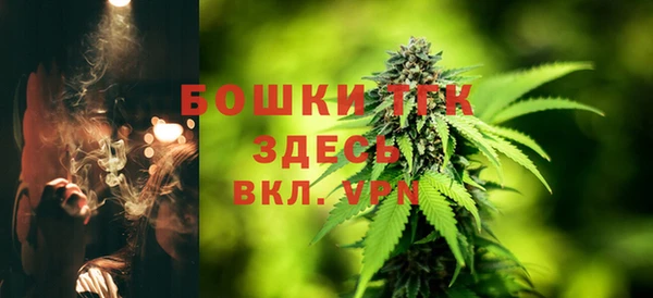 ПСИЛОЦИБИНОВЫЕ ГРИБЫ Лабытнанги