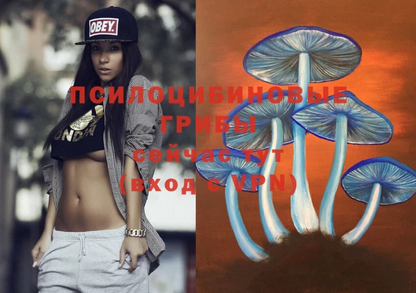 ПСИЛОЦИБИНОВЫЕ ГРИБЫ Лабытнанги