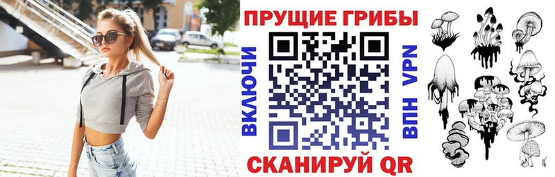 Купить  Рославль  Галлюциногенные грибы Cubensis 